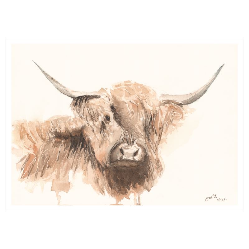 Fine Art Print: Highland Cow 21in x 15in